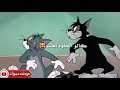 حالات واتس اب محتار ادور انا 