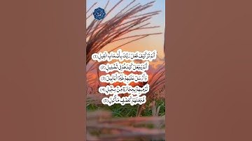 coran quraan القران الكريم سورة الفيل ❤️