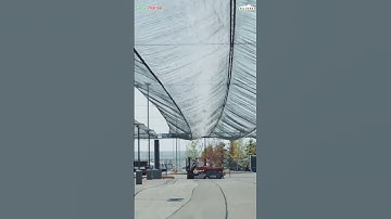The Power of Anti-Hail Netting #shortsfeed