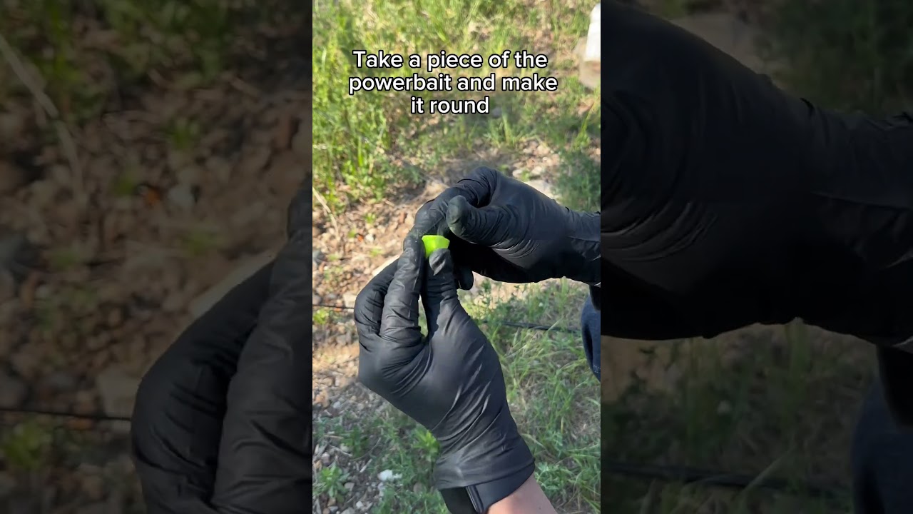 How to put powerbait on your hook  