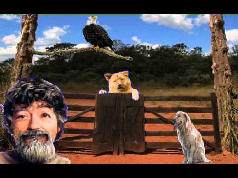 Raul Seixas - Capim Guiné