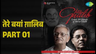 तेरे बयां ग़ालिब Part 01 | Tera Bayaan Ghalib | Gulzar | Jagjit Singh Songs |
