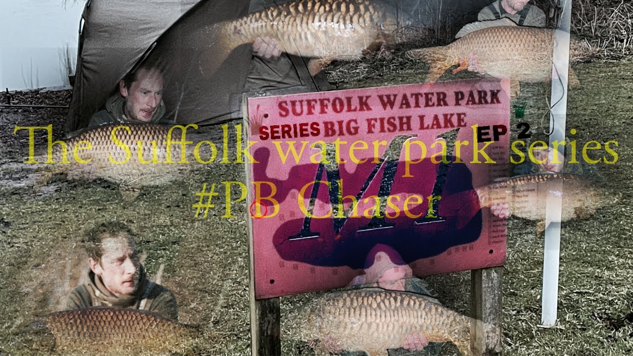 CARP FISHING SUFFOLK WATER PARK SERIES EP 2 2022 YouTube