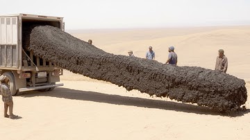 They Released Millions of Frozen Bees Into Sahara and Left Them for a Year. Result Shocked the World