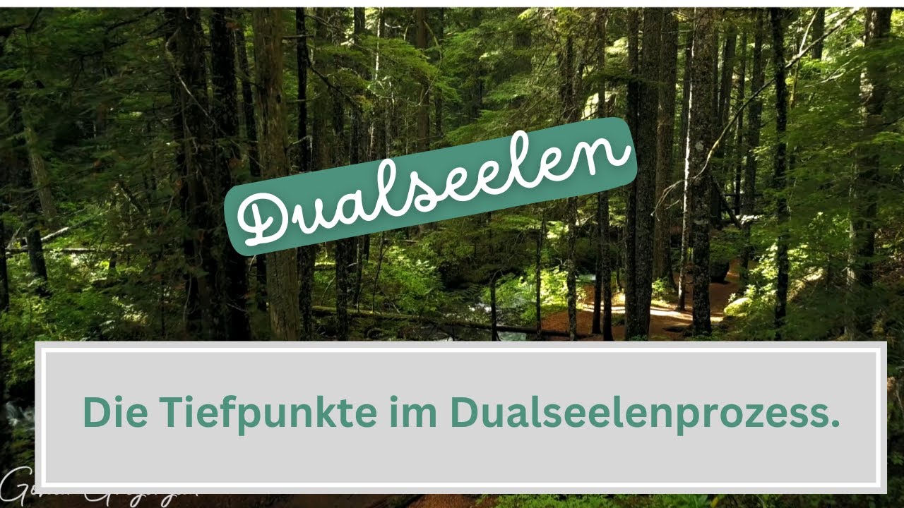 #dualseelen Die Tiefpunkte /Heraisforderungen im Prozess.