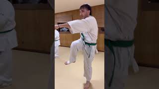 #Kyokushin #ShinKyokushin #Karate #Training 🥋 #shorts