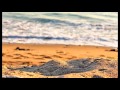 تلاوة خاشعة من سورة المائدة محمد ايوب واذ قال الله ياعيسى تلاوة خاشعة من سورة المائدة محمد ايوب واذ قال الله ياعيسى