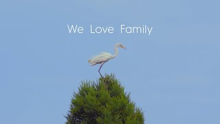 iichiko 2023 We Love Family篇