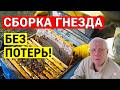 Как Правильно подготовить пчел в зиму? Советы начинающим!