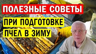 видео: Как Правильно подготовить пчел в зиму? Советы начинающим! картинка: Как Правильно подготовить пчел в зиму? Советы начинающим!