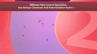 Experts In Pest Control Brick NJ