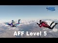 AFF Level 5 Training Video