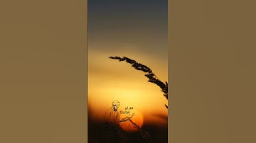 #القرآن_الكريم #ياسر_الدوسري #آيات_قرأنية #سورة_هود