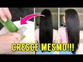 RECEITA CASEIRA PARA O CABELO CRESCER MAIS RÁPIDO por Julia Doorman