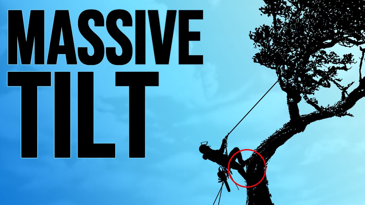 How to Climb Trees With an IMPOSSIBLE Tilt 