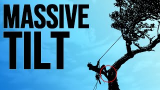 How To Climb Trees With An Impossible Tilt