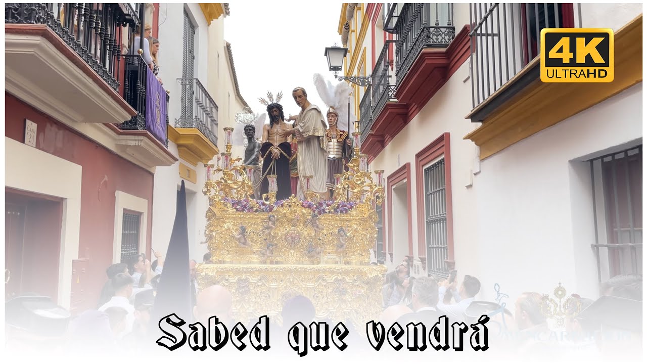 Sabed que vendrá | Misterio Sagrada Presentación de Jesús al Pueblo 