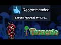 EXPERT MODE STREAM #3