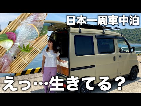 【軽バン車中泊】人生最高のイカは呼子にあり！本場の活き造りは格が違った。