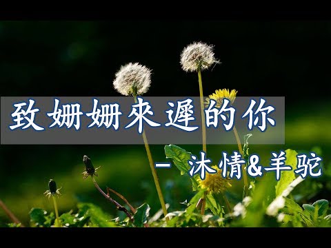 阿肆&林宥嘉- 致姗姗來遲的你（Cover by沐情&羊驼 )【動態歌詞】【完美翻唱】