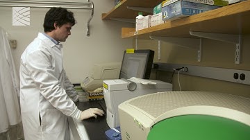 Evan Macosko on DropSeq