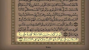 الشيخ سعد التوم السبيعي الليلة 10 التراويح سورة إبراهيم