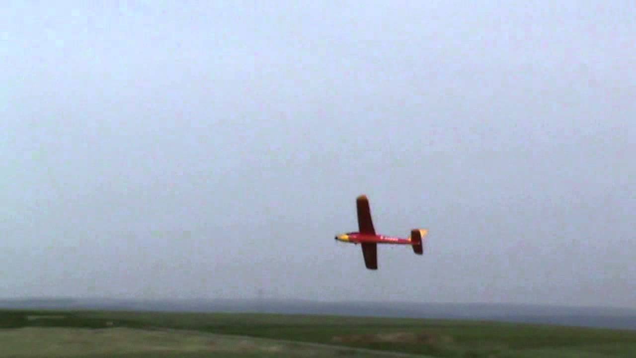 MINI FOX by T2M - Jjmstore