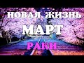 РАКИ - МАРТ 2021🌈. Важные события. Таро прогноз на Ленорман. Тароскоп.