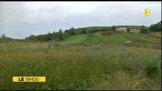 Petite-Île et son agriculture