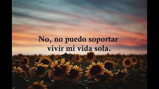 The Supremes - You Can't Hurry Love (Español)