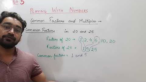 COMMON FACTORS AND MULTIPLES| GRADE 6 CH 3 PLAYING WITH NUMBERS