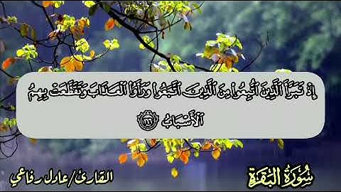 يا ايها الناس كلوا مما في الارض حلالا طيبا ترتيل من سورة البقرة للشيخ عادل محمد عادل رفاعي ❤️👍
