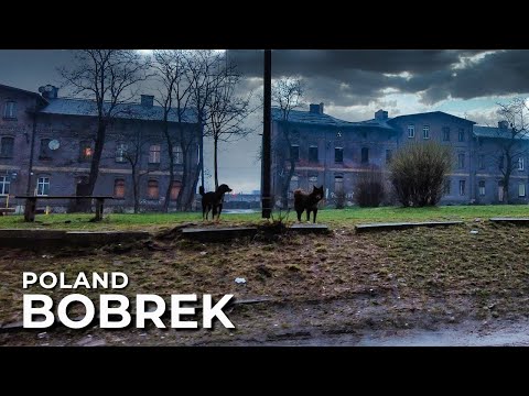 【4K】The Scariest District in Poland, Bytom, Bobrek