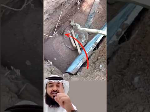 انحنى الرجل على حافة القبر بحذر محاول ا إبعاد الثعبان الذي اتخذ المكان اكسبلور لايك 