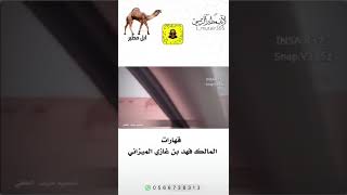 قهارات المالك/ فهد بن غازي الميزاني تصميم لايف مطير الرسمي l_mutair305