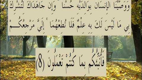 القران الكريم سورة العنكبوت الأية 8.wmv