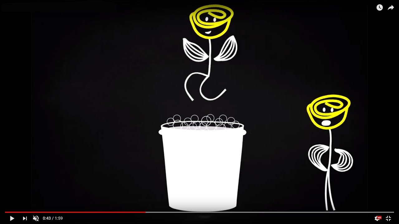 Flower Food For Thought® It’s safe to go swimming, jump on in! YouTube