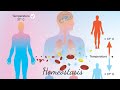 #homeostasis #biology #biologicalprocesses #introductionofhomeostasis #internalbodycondition 