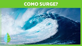 Como se forma um TSUNAMI? 🌊 (Definição e Fases)