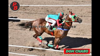 DON CHARO: COPA PRODUCTOS NACIONALES - HIPODROMO ILUSION DE VERA, SANTA FE (06-0-2025)
