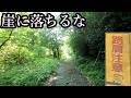 マジで崖に落ちないように気を付けてください。[山口県道136号 上久原藤生停車場線