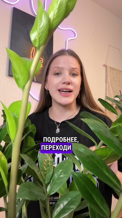 Песня в подарок на ваше событие, которая дарит эмоции - YouTube