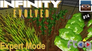 FTOG Expert Infinity #14 - Agricraft and Pranking - (FTB Infinity Evolved expert mode Let's Play)