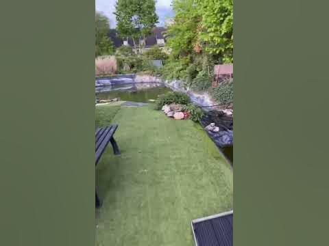 Ein Blick auf unseren alten Teich im Wandel der Zeit! Part 2 Aufräumung