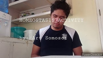 Homeostasis Activity