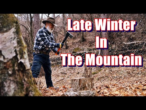 Late winter in the mountain/ 冬終盤薪活キャンプ