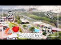 CALANGO - MALA LIMA: MANZANAS, CAMARONES, FUNDO TAMBO REAL &amp; MÁS!