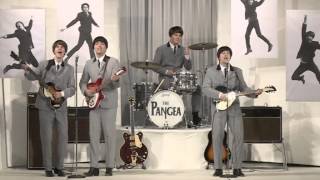 Tell Me Why, Pangea - The Beatles Revival Band screenshot 4