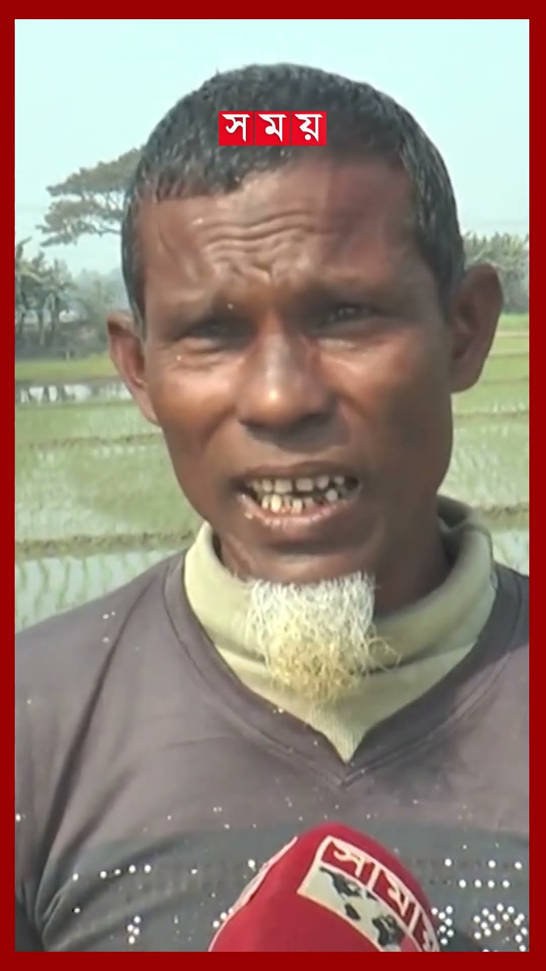 অবৈধ ইটভাটায় নীরব ভূমিকা প্রশাসনের #blockbrick #brickkiln #gaibandha #shorts #somoytv