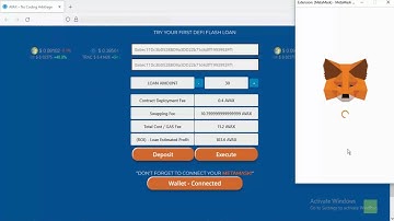 Avax Avalanche Flash Loan Arbitrage Make $100 Every Day! Absent Collateral